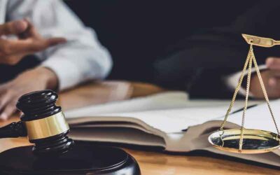 The Litigation Process